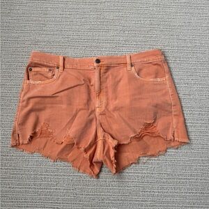 Aerie Women's Distressed Orange Denim Shorts